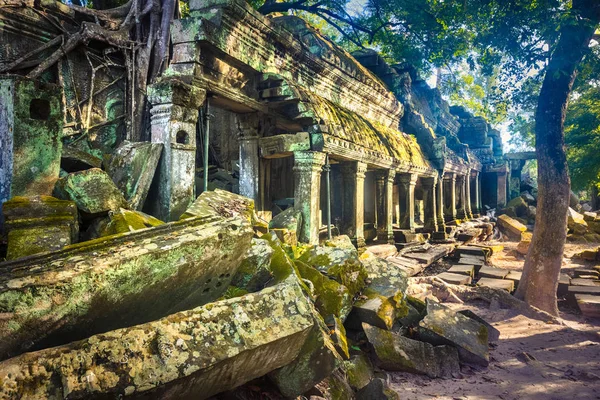 Świątyni Prohm Angkor Siem Reap Kambodża — Zdjęcie stockowe