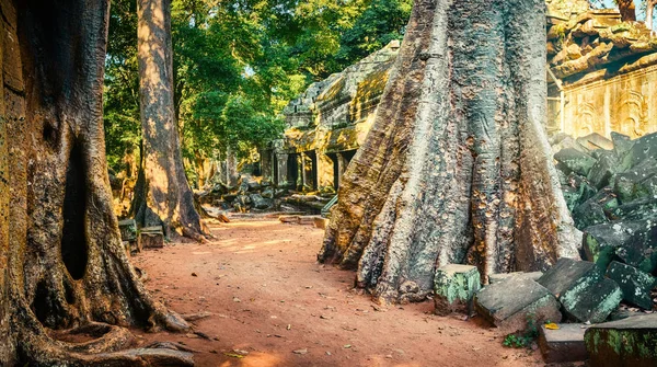 Prohm Tempel Van Angkor Siem Reap Cambodja Panorama — Stockfoto