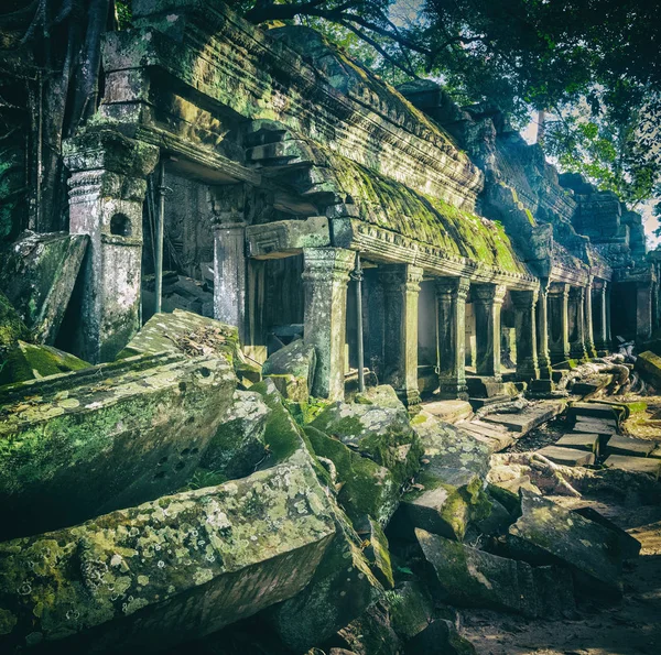 Świątyni Prohm Angkor Siem Reap Kambodża — Zdjęcie stockowe