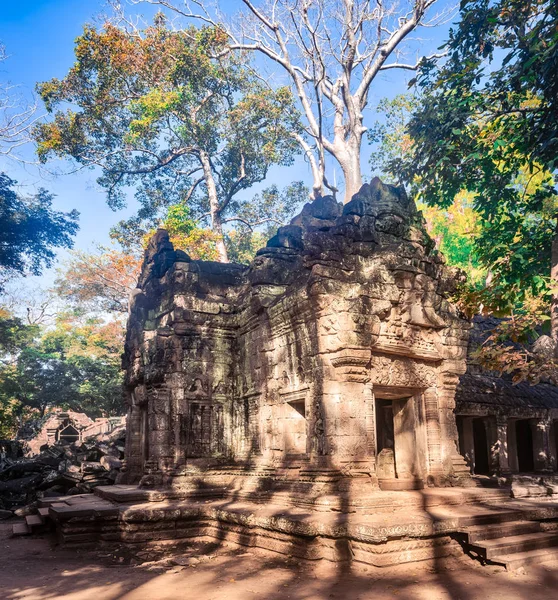 吴哥的塔普伦寺 柬埔寨 — 图库照片