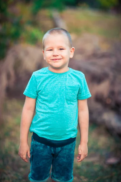 Outdoor portrait of cute little boy — Stock Photo, Image