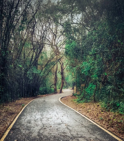 Camino a la cascada de Erawan en el parque nacional de Erawan, Tailandia . — Foto de Stock