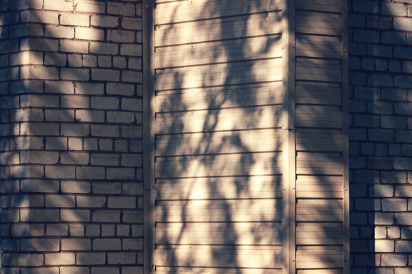 The brick wall. The shadows of branches