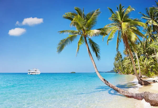 Spiaggia Tropicale Con Palme Isola Kood Thailandese — Foto Stock