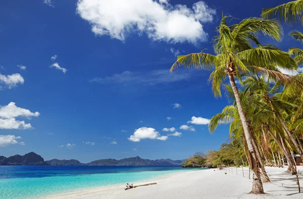 Tropikal Beach Güney Çin Görmek Nido Filipinler — Stok fotoğraf