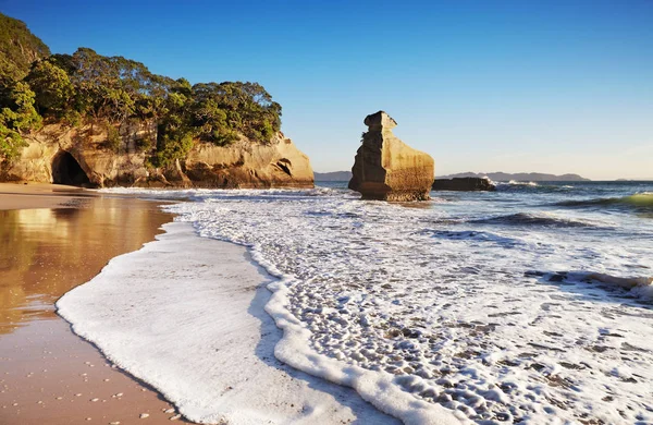 Sphinx Rock Nära Cathedral Cove Coromandel Peninsula Nya Zeeland — Stockfoto