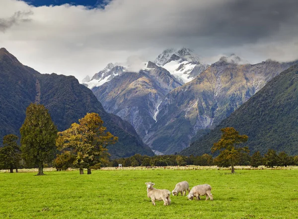 Montaña ladscape, Alpes del Sur, Nueva Zelanda — Foto de Stock