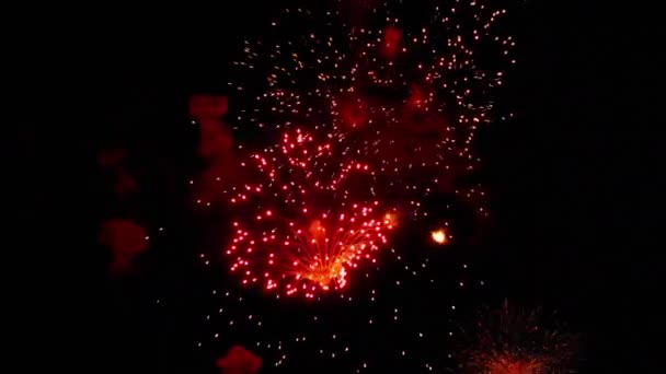 Fuochi d'artificio lampeggianti nel cielo delle vacanze notturne — Video Stock