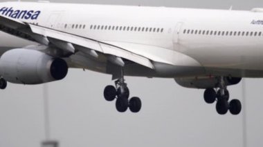 Frankfurt 'a inen uçak