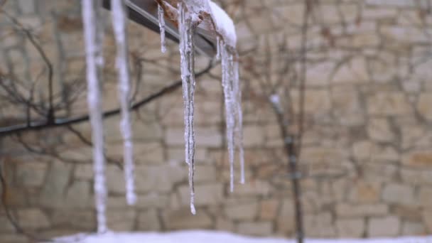 Close-up de icicles — Vídeo de Stock