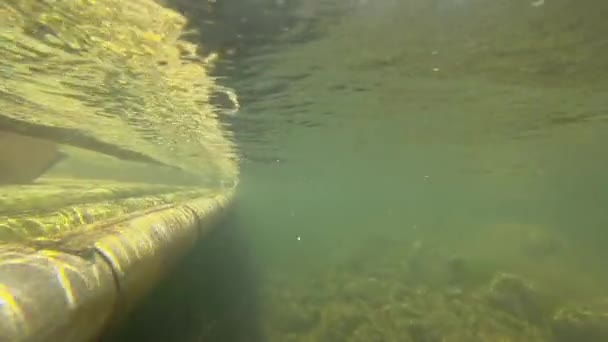 Bambu rafting i Khao Lak — Stockvideo