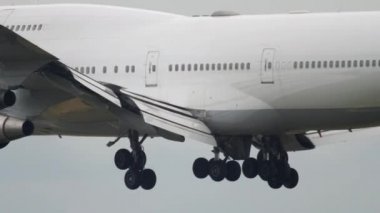 Frankfurt 'a inen uçak