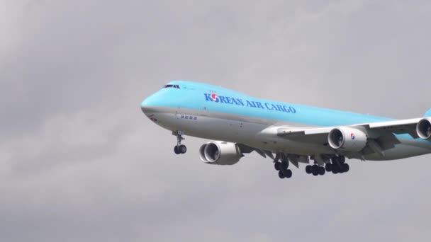 Avión aterrizando en Frankfurt — Vídeos de Stock