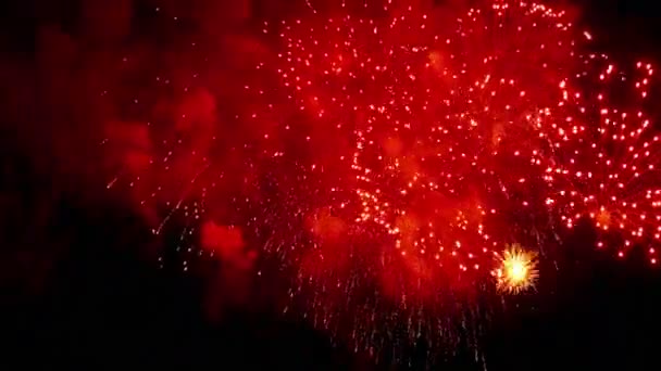 Фейерверки мигают в ночном праздничном небе — стоковое видео