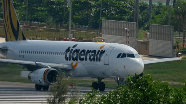 Tigerair Airbus A320 taxning — Stockvideo