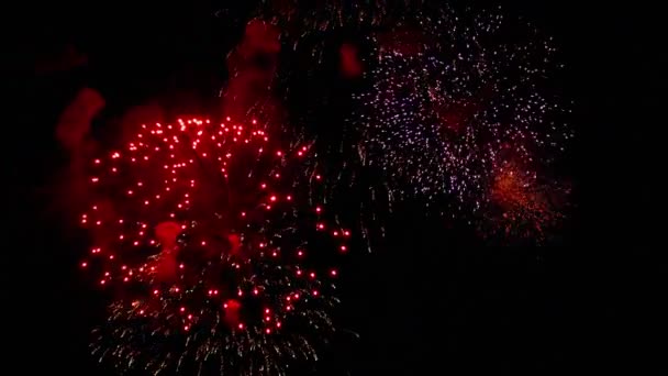 Fogos de artifício piscando no céu de férias noite — Vídeo de Stock