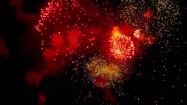 Fireworks blinkande i holiday natthimlen — Stockvideo