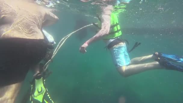 Vista submarina de la gente haciendo snorkel en el mar de Andamán — Vídeos de Stock