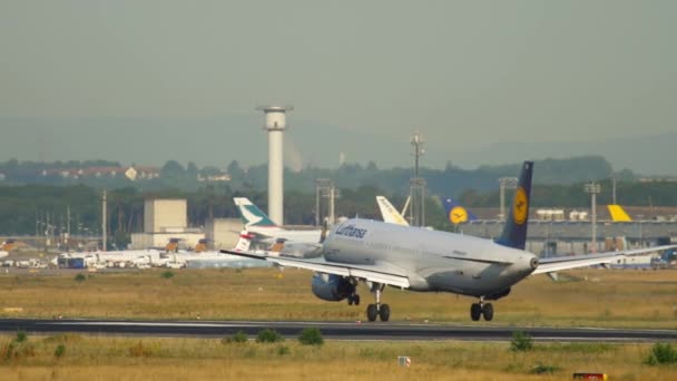 Samolot lądujący we Frankfurcie — Wideo stockowe