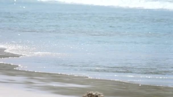Çift yürüyüş Beach — Stok video
