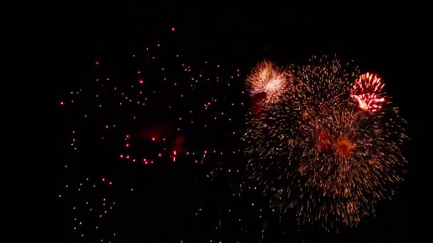 Feuerwerk am nächtlichen Ferienhimmel — Stockvideo