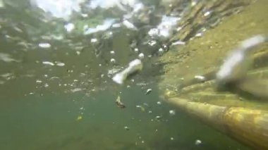 Khao Lak rafting bambu