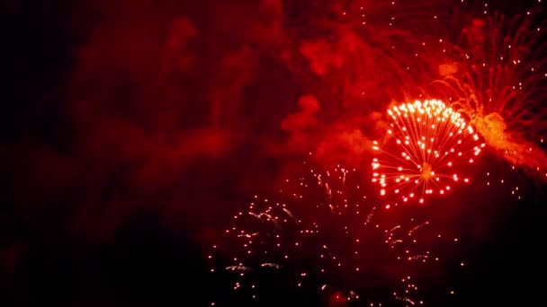 Tűzijáték ünnep ég villogó — Stock videók