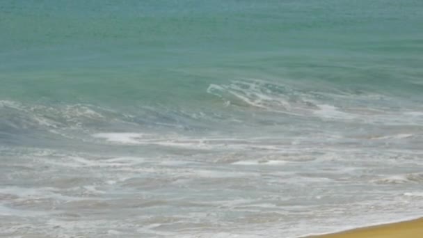 Хвилі на пляжі — стокове відео