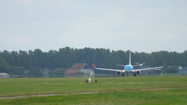 KLM Boeing 737 accelerate and take-off — Stock Video