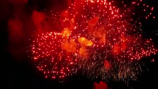 Fogos de artifício piscando no céu de férias noite — Vídeo de Stock