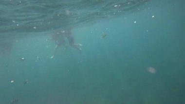 Andaman Denizi içinde şnorkel insan sualtı görüntüleme