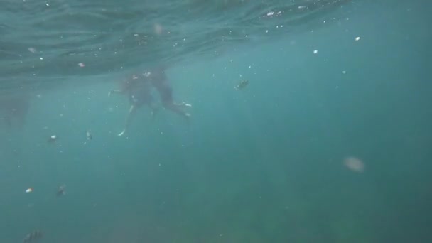Vista submarina de la gente haciendo snorkel en el mar de Andamán — Vídeo de stock