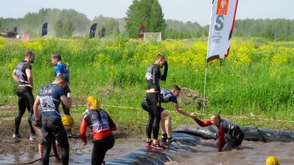 Athletes jumps in water from 4 meters height — Stock Video