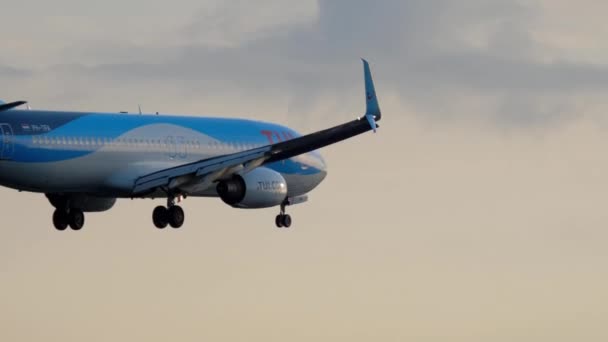 Amsterdam Nederländerna Juli 2017 Tui Fly Boeing 737 Tfa Närmar — Stockvideo