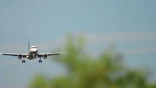 Letadlo se blíží v časných ranních hodinách — Stock video