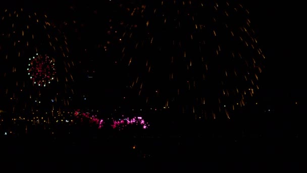 Feuerwerk am nächtlichen Ferienhimmel — Stockvideo