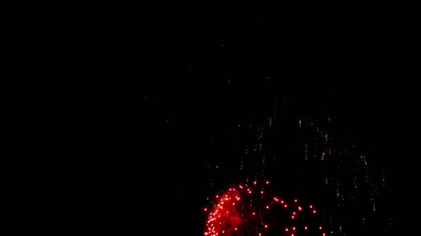 Feuerwerk am nächtlichen Ferienhimmel — Stockvideo