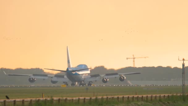 KLM Boeing 747 aterrizaje — Vídeos de Stock