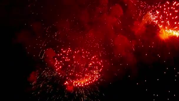 Πυροτεχνήματα λάμποντας στο νυχτερινό ουρανό Ενοικιαζόμενα — Αρχείο Βίντεο