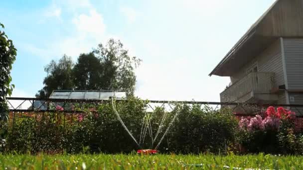 Arroseur d'eau de pelouse de jardin — Video