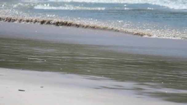 Pareja playa caminando — Vídeo de stock