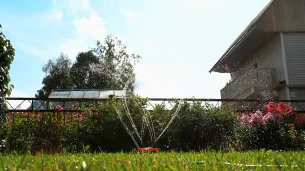 Aspersor de agua de césped de jardín — Vídeo de stock