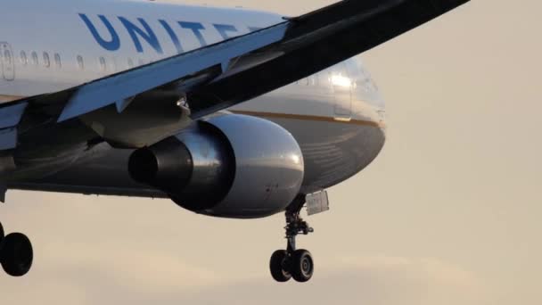 United Airlines Boeing 767 lądowania — Wideo stockowe