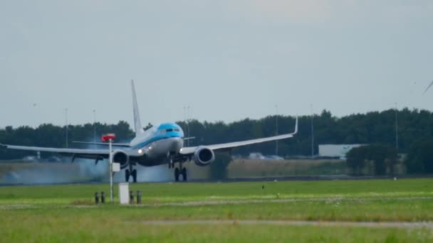 Klm オランダ航空ボーイング 737 着陸 — ストック動画