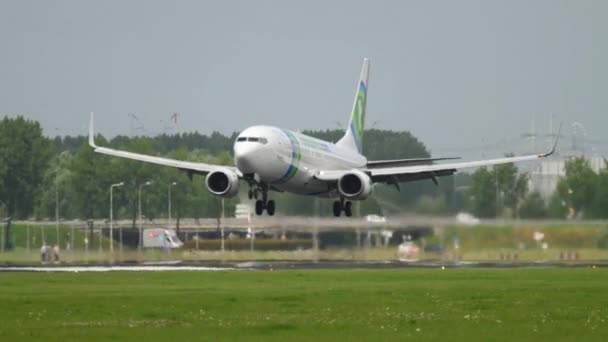 Transavia Boeing 737 aterragem — Vídeo de Stock