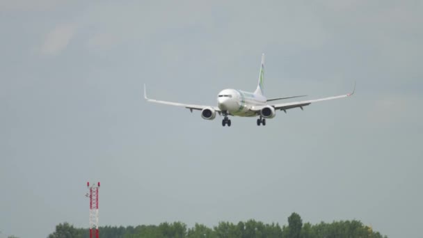 Transavia Boeing 737 bei der Landung — Stockvideo