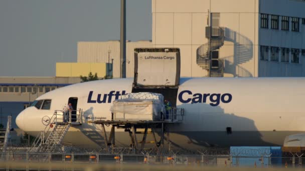 法兰克福是主要 2017年7月18日 货物装货对汉莎航空货物麦道 Airfreighter — 图库视频影像