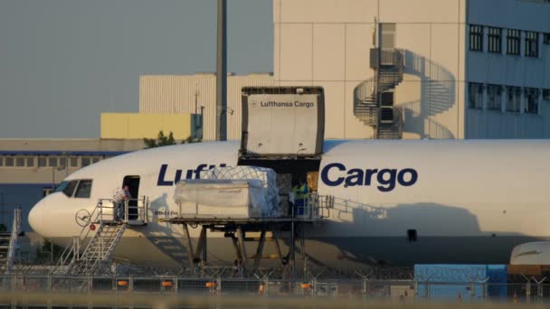 Frankfurt Main Alemania Julio 2017 Carga Carga Carguero Lufthansa Cargo — Vídeos de Stock