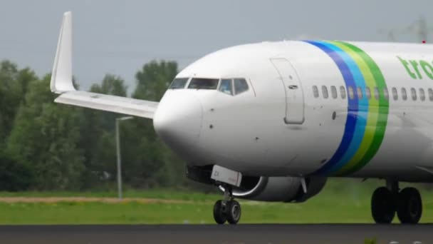 Transavia Boeing 737 lądowanie — Wideo stockowe