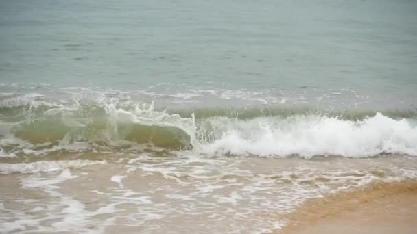 Κύματα σε μια αμμώδη παραλία — Αρχείο Βίντεο